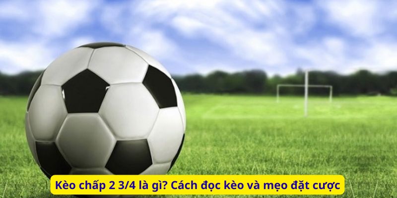 Kèo chấp 2 3/4 là gì? Cách đọc kèo và mẹo đặt cược